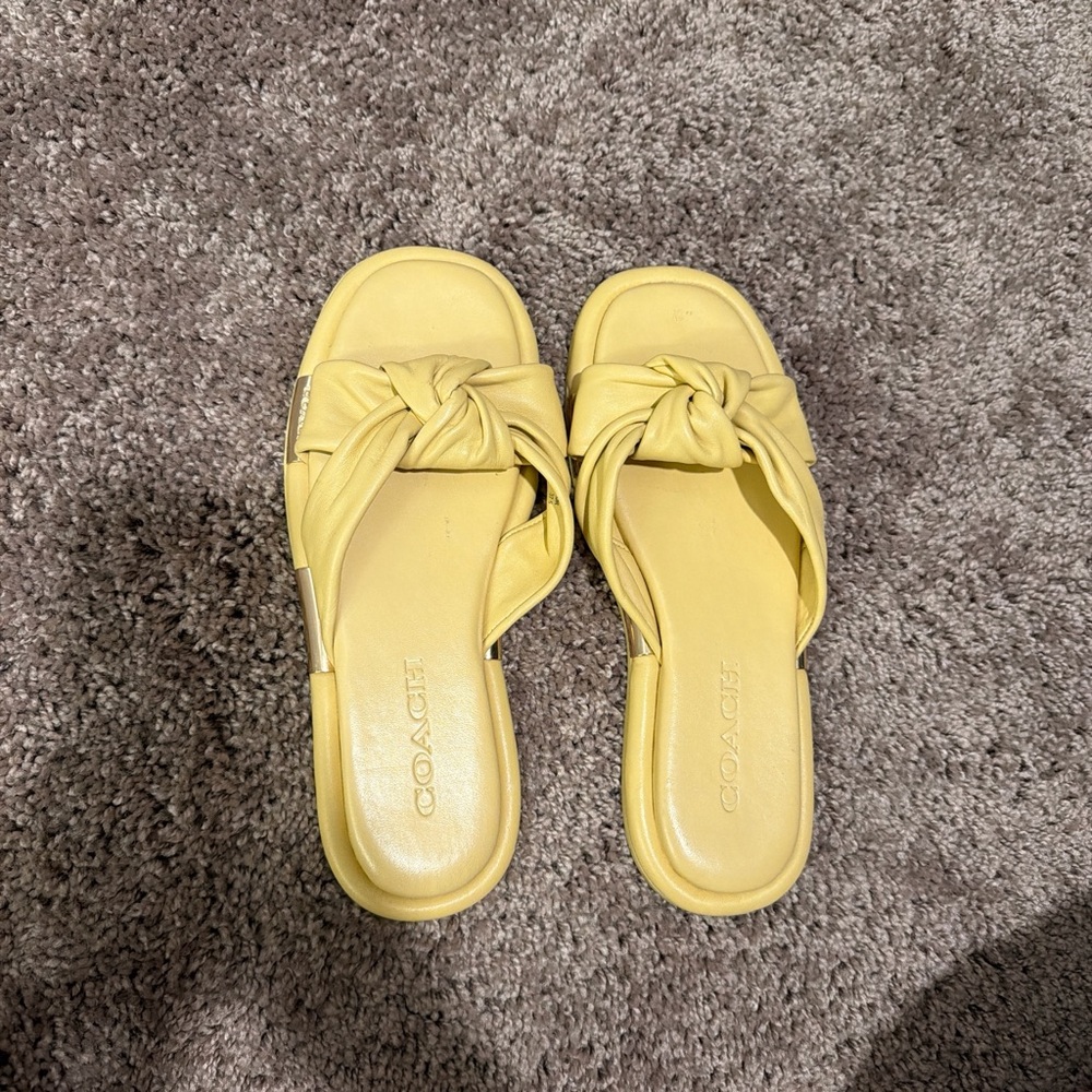 Coach Brooklyn Knotted Slide Sandals